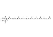 Molecular Structure of Ubidecarenone