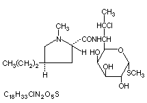 Molecular Structure of 