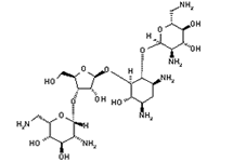 Molecular Structure of Framycetin (Sulphate)